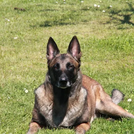 D'hotes Carpediem Prigonrieux