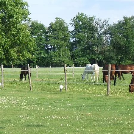 Bed & Breakfast D'hotes Carpediem 3*