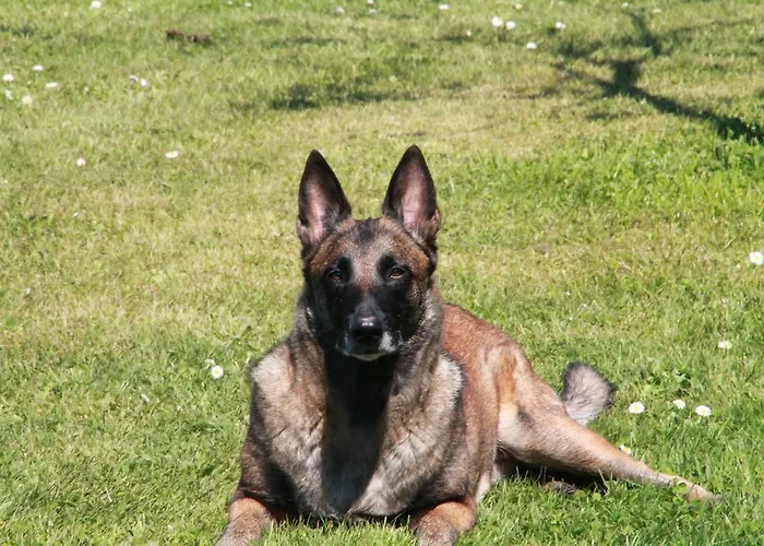 D'hotes Carpediem Prigonrieux