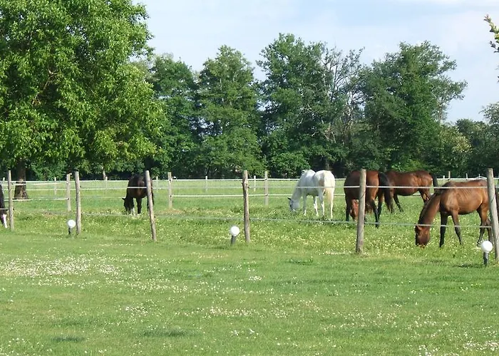 Bed and breakfast D'hotes Carpediem 3*